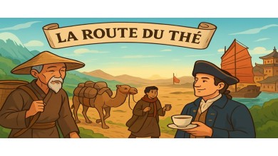 La Route du Thé : voyage entre montagnes et océans